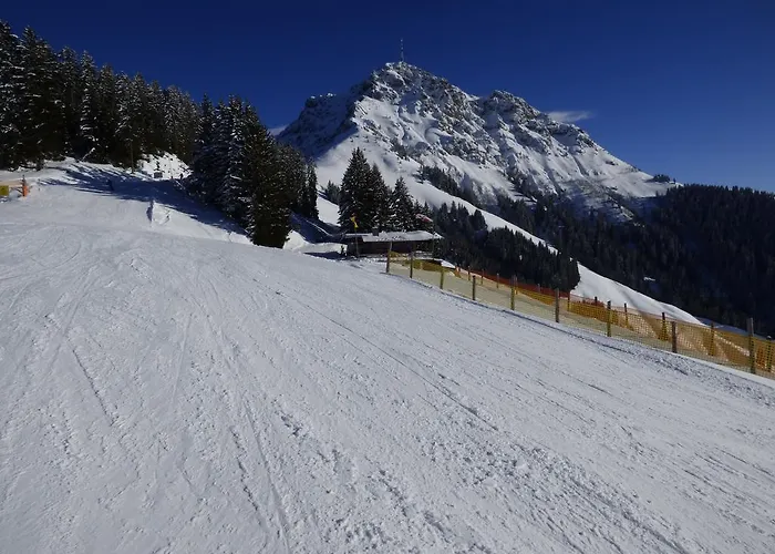 Hotel Panoramahotel 3*